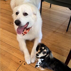 Meet your Posher, Keyla